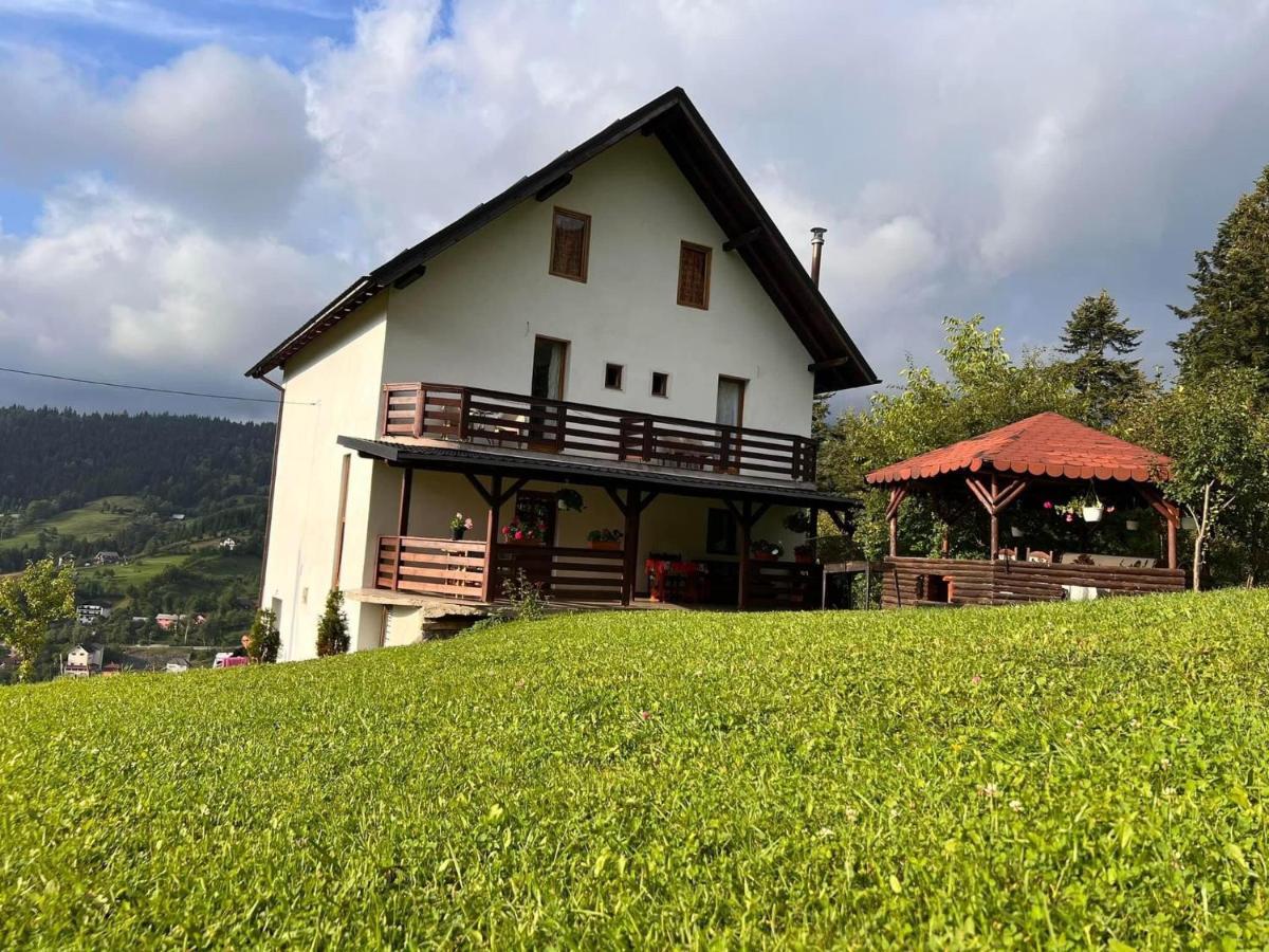 Casa Viorica Hotel Statjunea Borsa Exterior photo